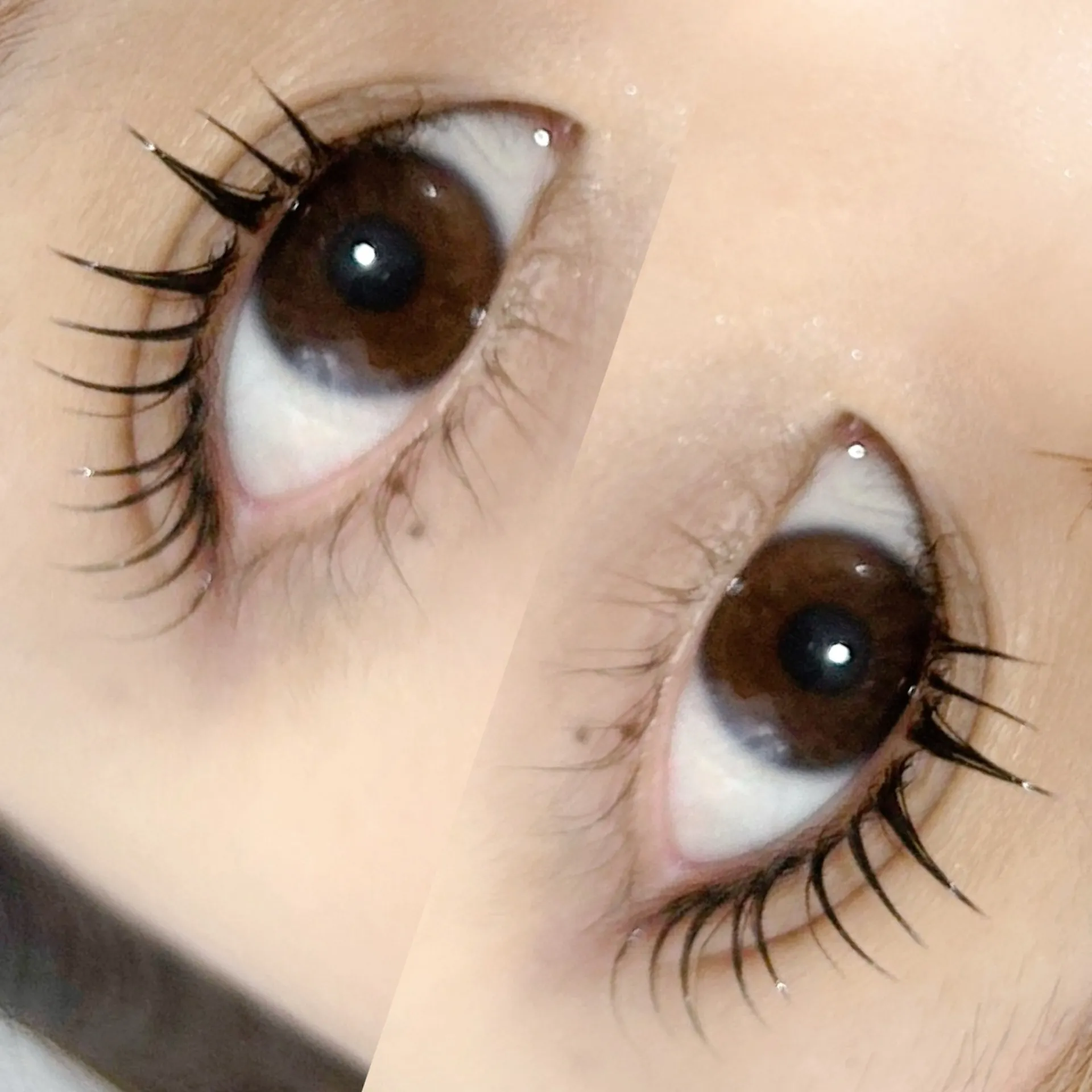 アンドヘルシー80本