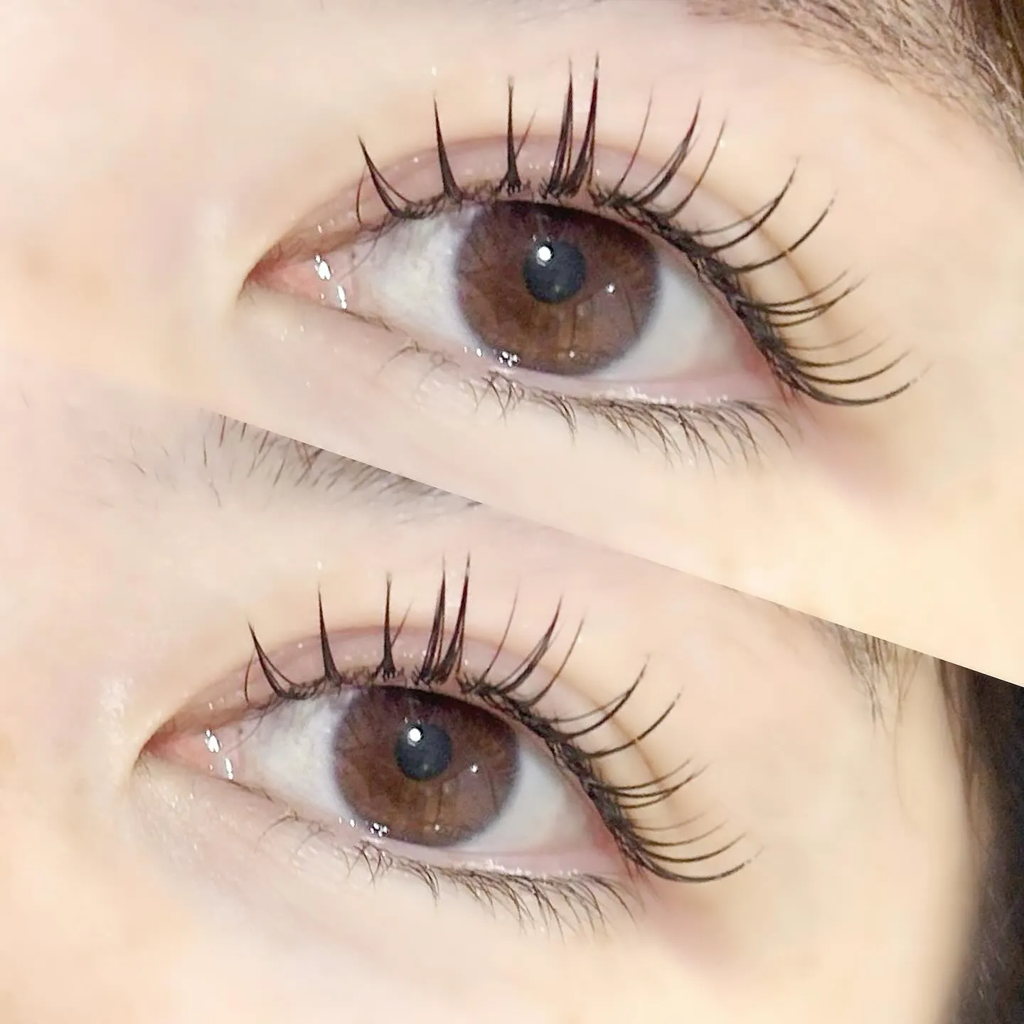 &healthy(アンドヘルシー)🦋